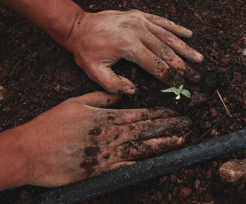 Cannabis Advocacy Group Seeks Arrest Accounts to Document the Human Cost of Prohibition