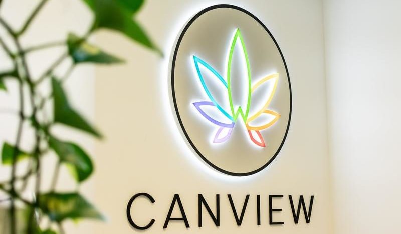 Executive Appointments and Cannabis Advocacy: Vitura Health, PFMC, and Wellnex Life