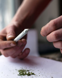 Australians increasingly support cannabis legalisation and drug testing, survey reveals
