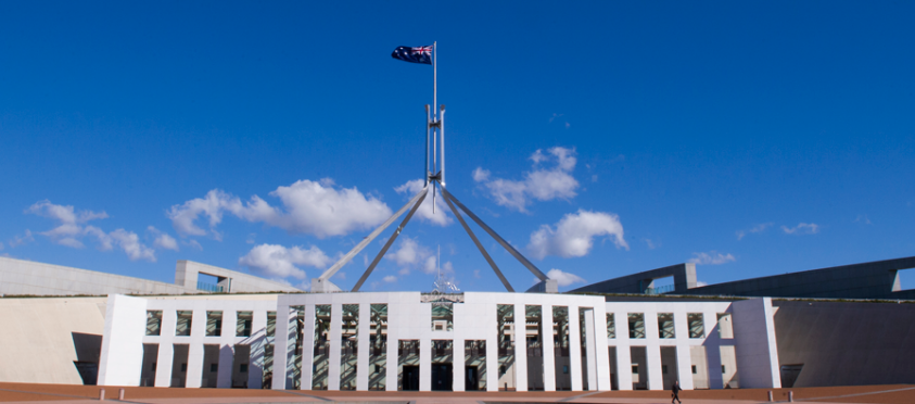Cann Group CEO adds his voice to calls for government support as imports dominate Australian market