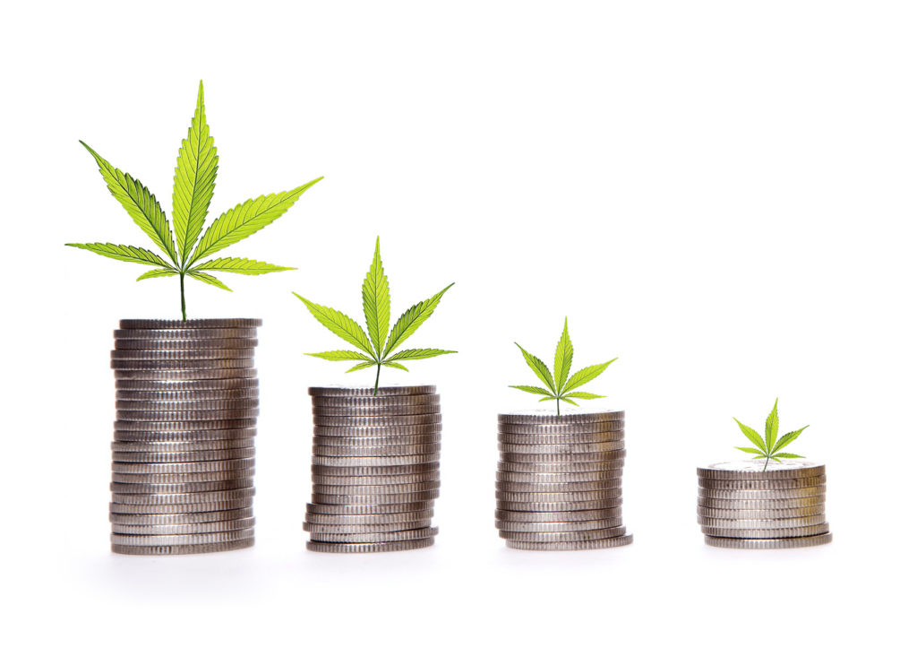 Cann Group moves to restore ASX listing after steep Q3 revenue drop and worsening cash position