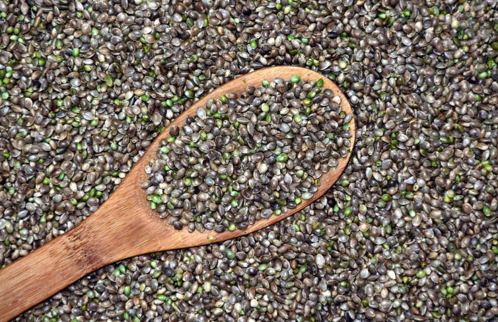 Study shows genetic test can predict CBD vs THC levels in cannabis plants