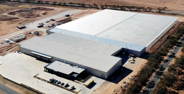 Cann Group Eyes Revenue Growth as Global Demand for Quality Cannabis Goes Unmet