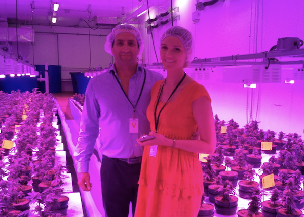 Medicinal Organic Cannabis Australia to produce CBD products for European livestock