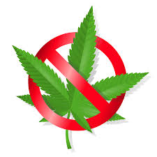 New Zealand cannabis referendum result narrows but the No vote still has it