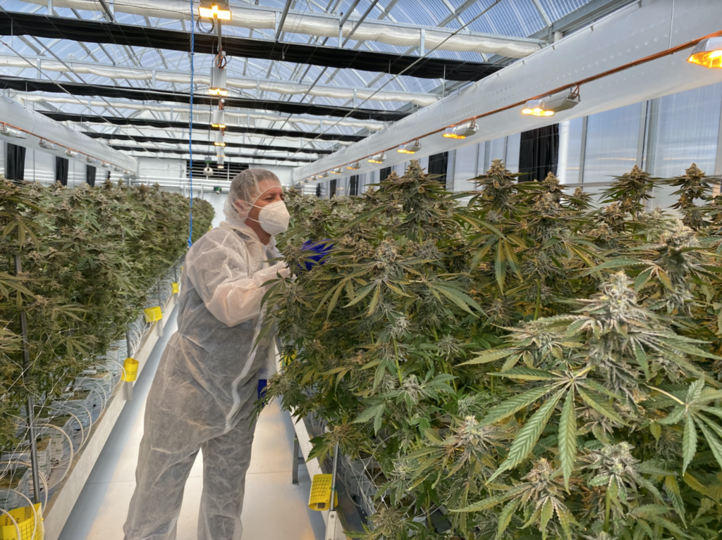 ANTG cracks European market with A$92 million deal