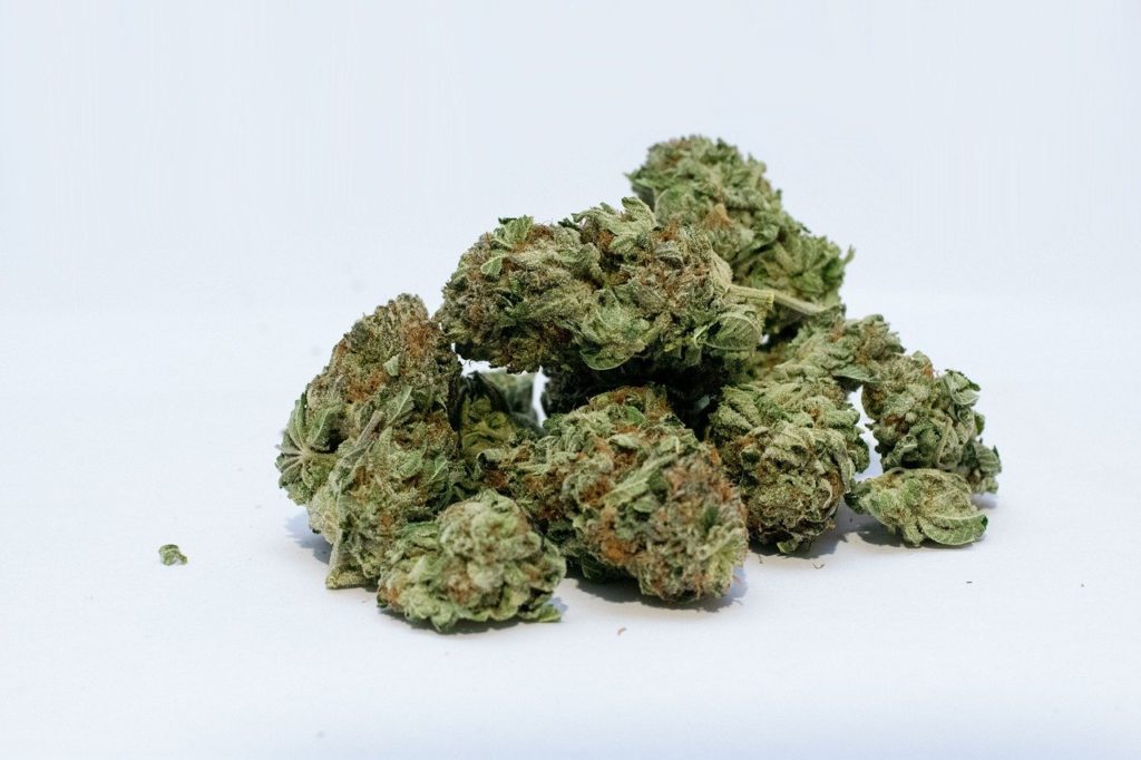 Cannabis Brain Study Faces Recruitment Hurdle as Black and Asian Participants Cite Distrust
