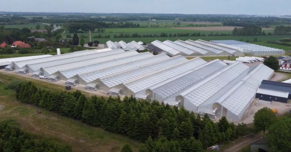 Denmark's Shift to a Permanent Medicinal Cannabis Regime Vindicates LGP's Local Investment
