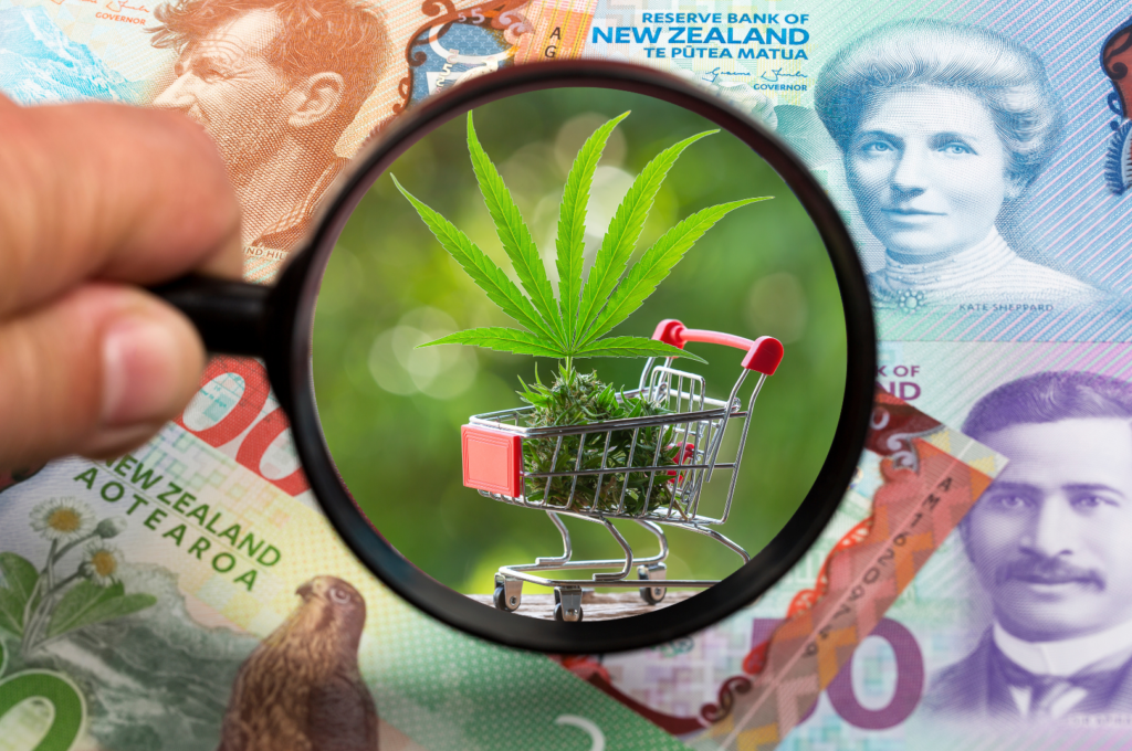 New Zealand Medicinal Cannabis Sector Poised for Export Breakthrough Under Regulatory Overhaul