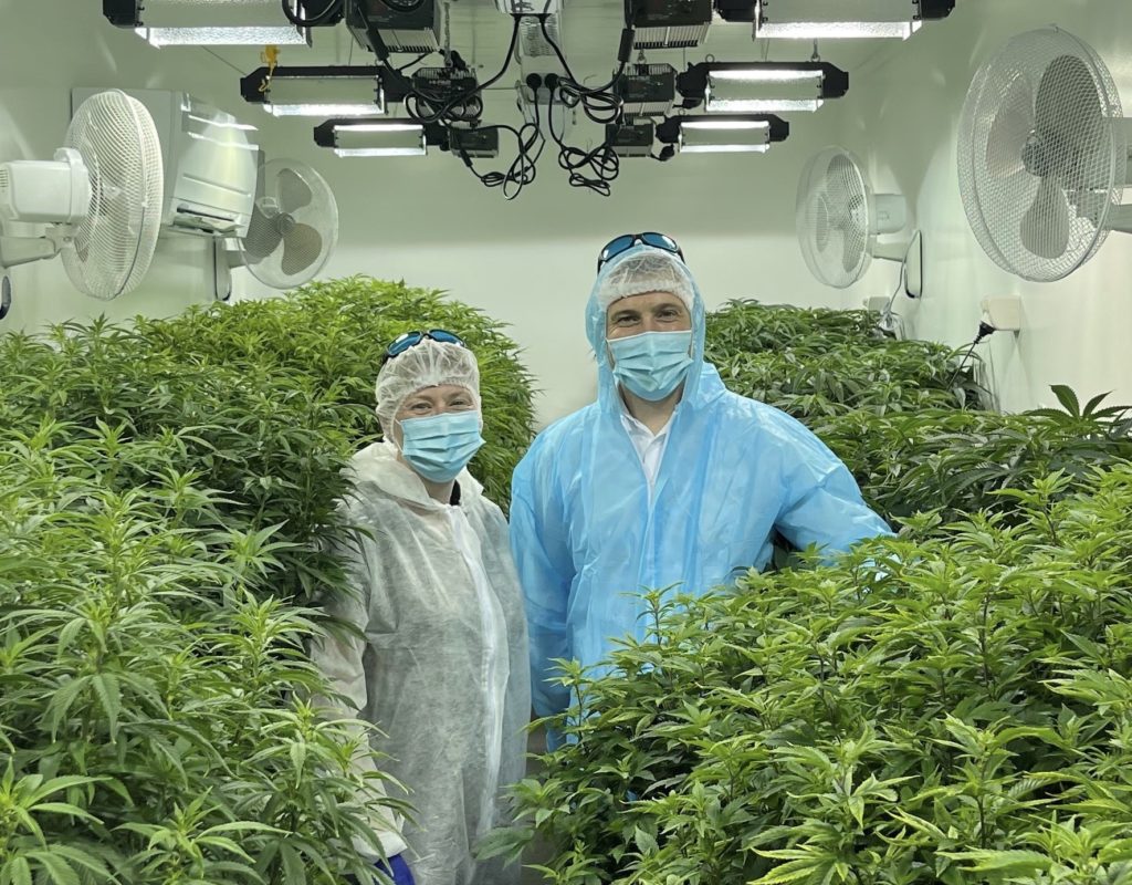 New Zealand's Medicinal Cannabis Agency clears homegrown CBD products for prescription use