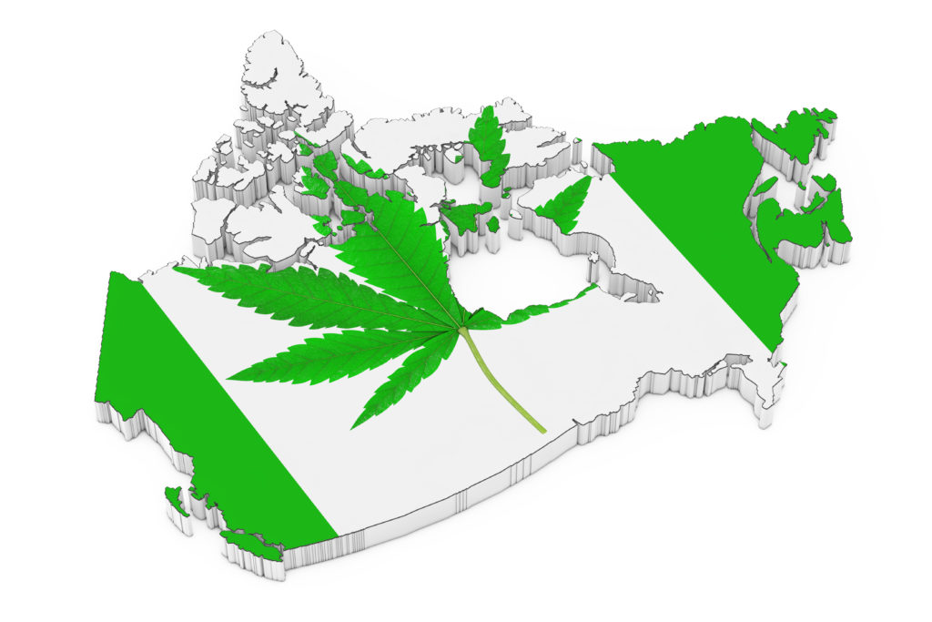 Industry Roundup: GrowerIQ, Neurotech International, and Medical Kiwi