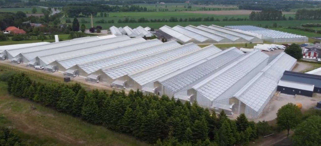 Little Green Pharma reports revenue rise but operating deficit nears A$10m