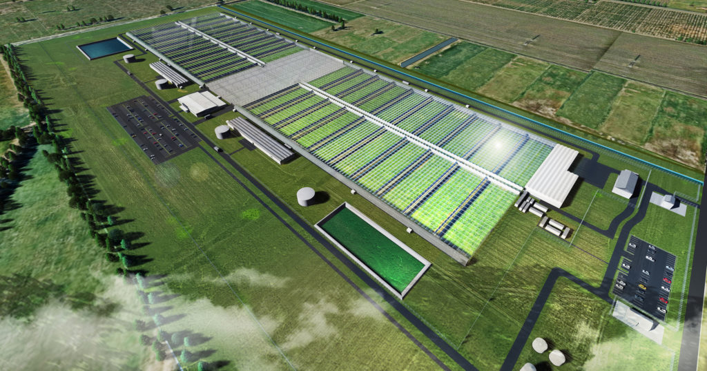 Cannatrek to begin construction on Victoria facility