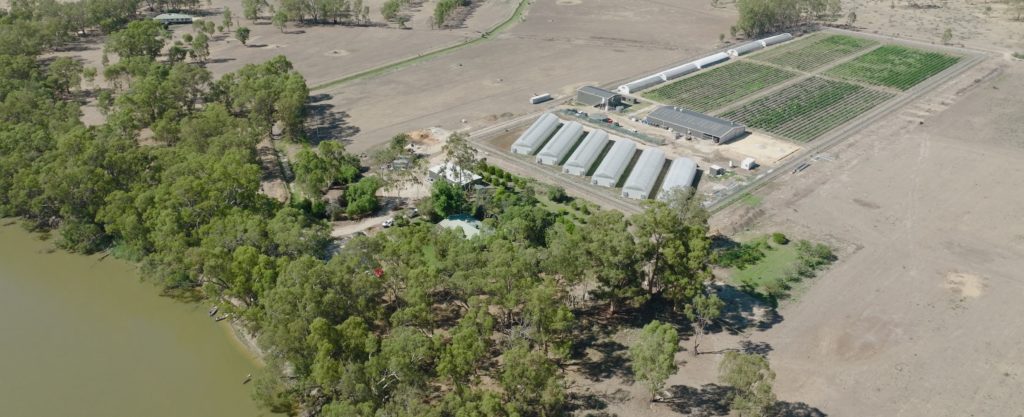 ECS Botanics keeps north-west Victorian cannabis facility running through Loddon River flooding