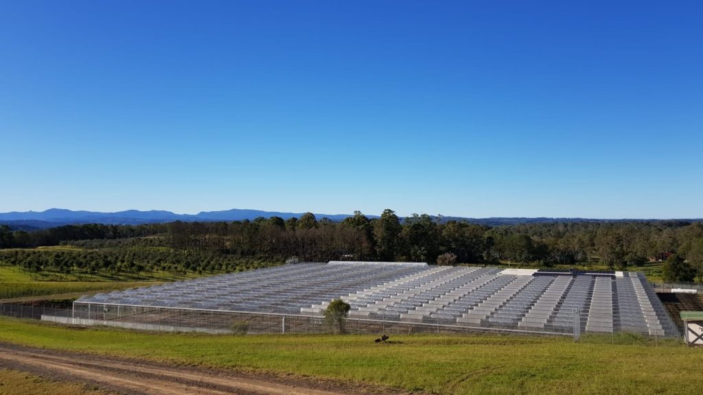 Biortica Agrimed to acquire Cannapacific in fresh sign of cannabis sector consolidation
