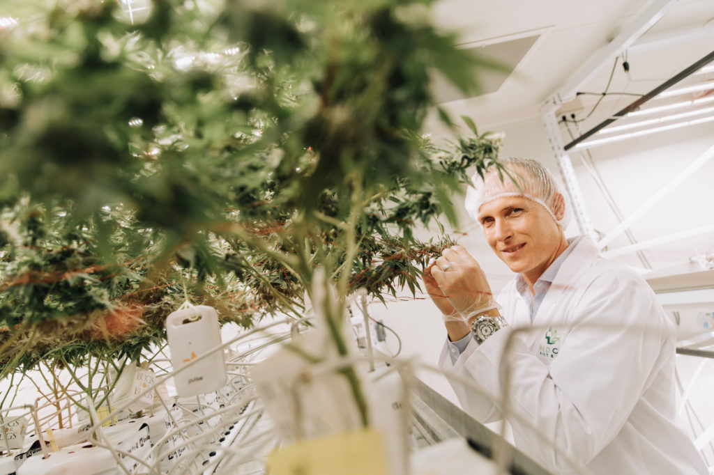 Medcan inks 'multimillion-dollar deal' with Vantage Hemp Co.