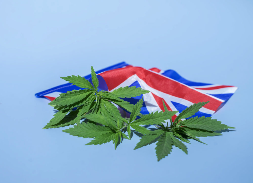 UK medicinal cannabis patients set to exceed 140,000 as Canada corners the import market