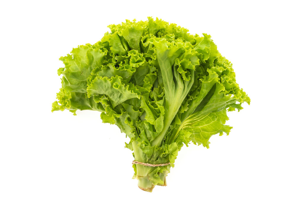 'Lettuce pay'