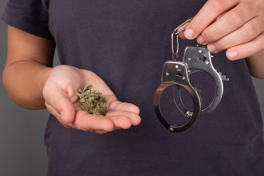 Cannabis MPs Accused of Hypocrisy After Admitting Personal Use While Blocking Legalisation