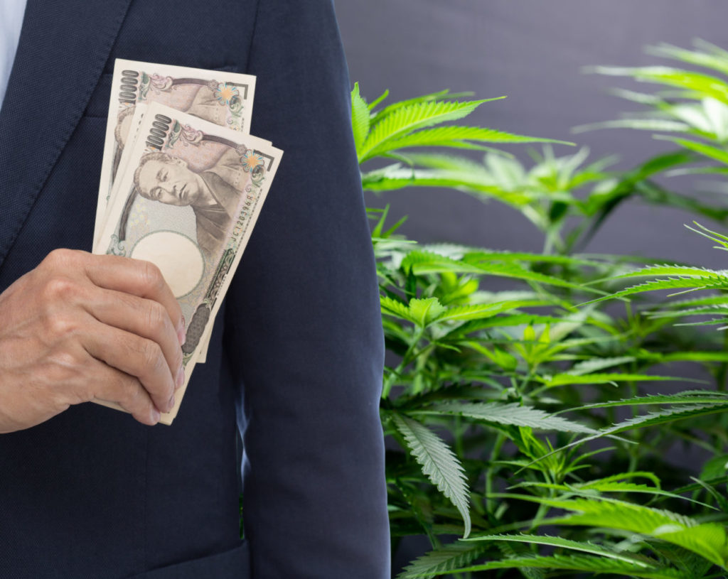 Japan's Health Ministry Backs Medicinal Cannabis Law Reform as Morocco Grants First Legal Cultivation Permits