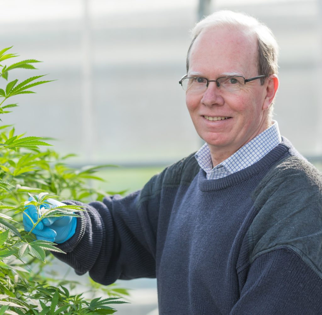 Cann Group offloads Southern facility to Sativite for nearly A$5.5m