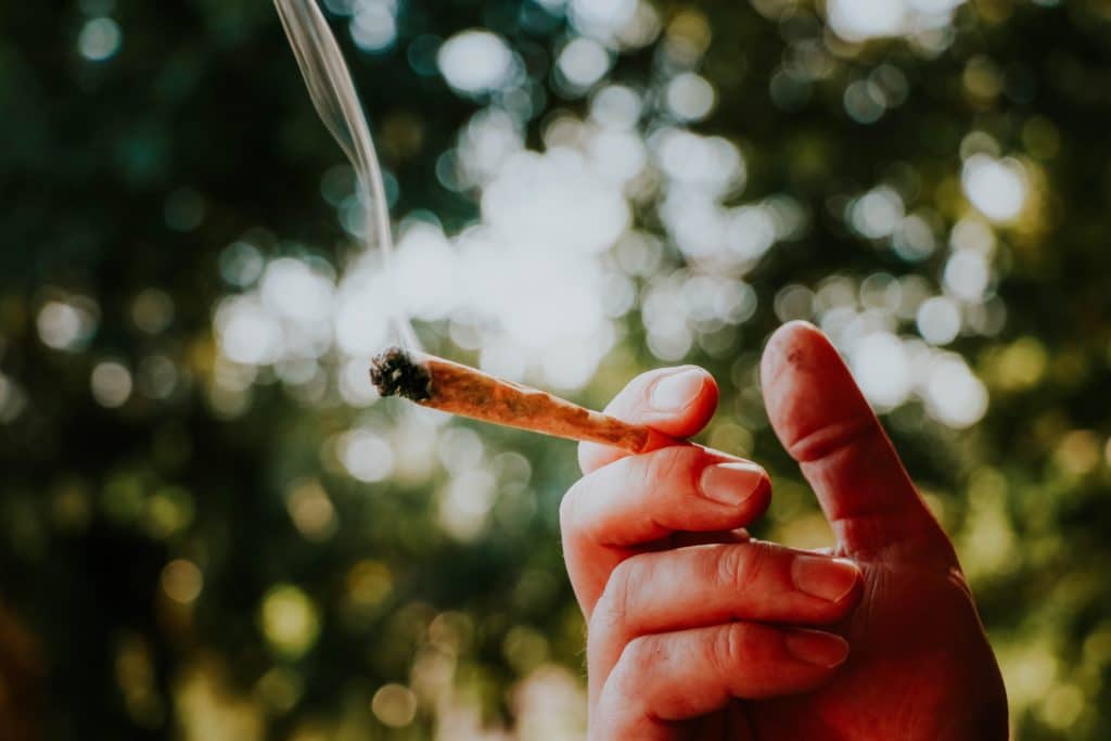 How Much Cannabis Goes Into a Typical Joint? UQ Study Reveals Wide Variations