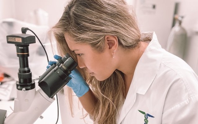 Medlab future to be settled next month as directors ponder offers