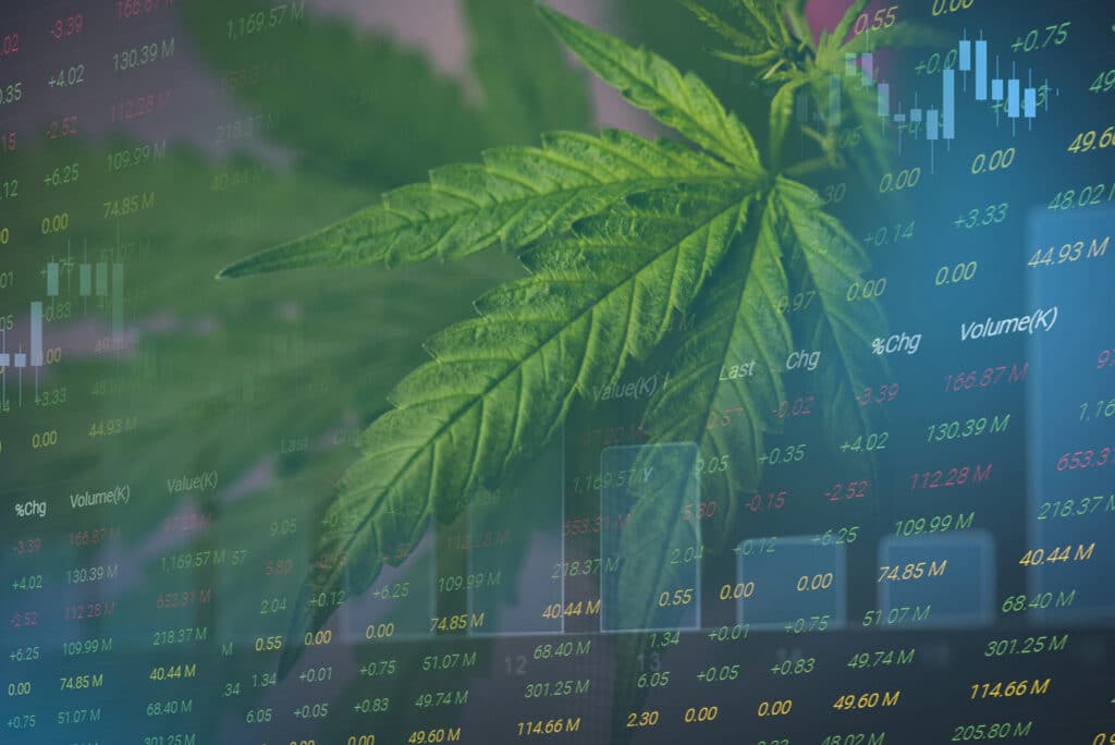 More than half of cannabis firms fell short of board expectations in 2022, survey reveals