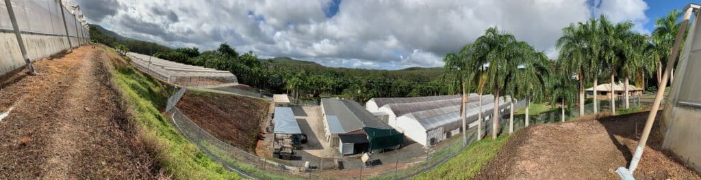 Well-funded newcomer PharmaCrop takes over Tikun Oceana site with ambitious cannabis production plans
