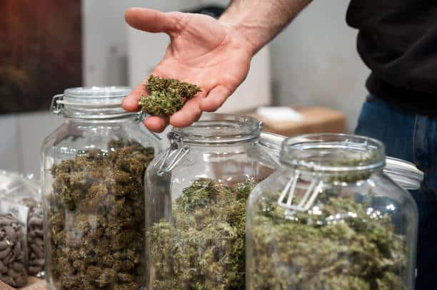Australian medicinal cannabis output matches imports in 2022, ODC figures show