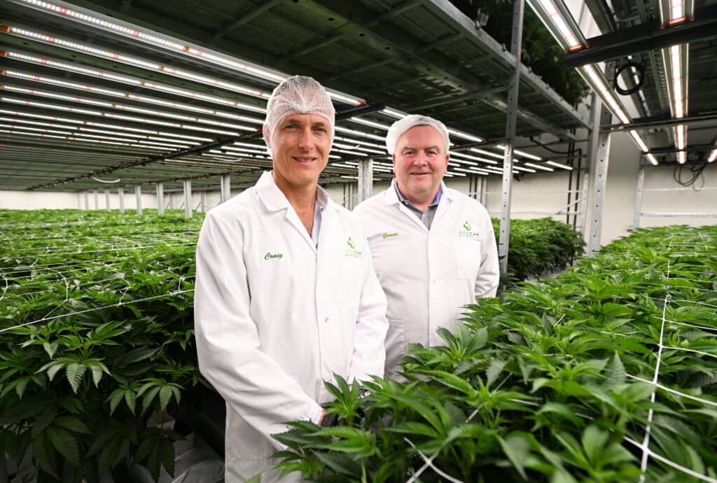High-Tech Indoor Growing Key to Matching World's Best Cannabis, Says Medcan