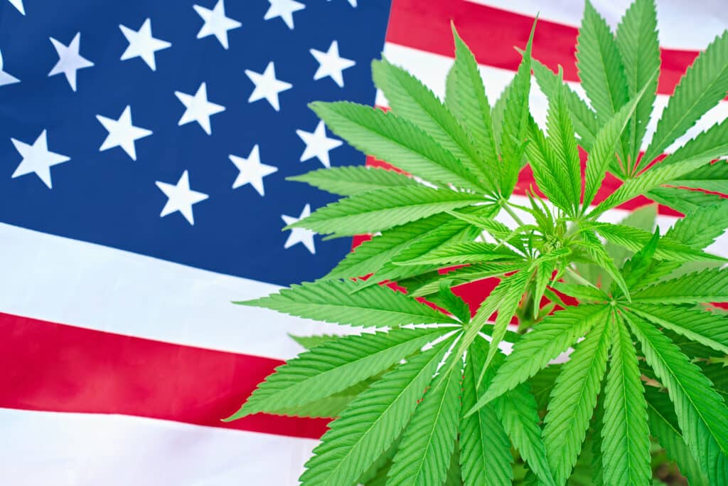 Ohio voters approve recreational cannabis, poised to join 23 other US states in ending prohibition