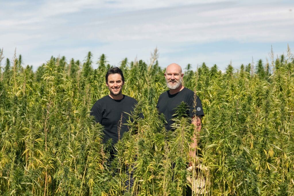 New Survey Shows One in 12 Australians Use Medicinal Cannabis Amid Shifting Public Attitudes