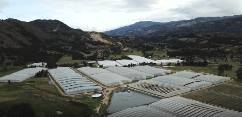 Industry Roundup: Clever Leaves, Cronos/Vitura, InhaleRX, Emyria, CannMart/Aura Therapeutics, Cann Group, Greenfern Industries, LGP/Reset Mind Sciences