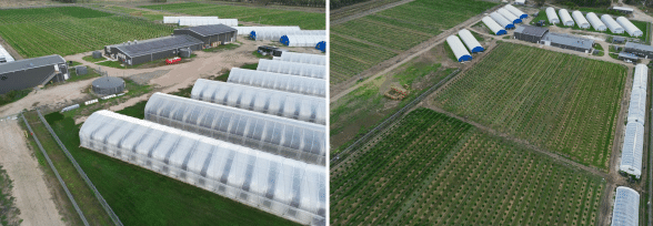 ECS Botanics Posts Best Quarter Yet While Expanding Growing Operations