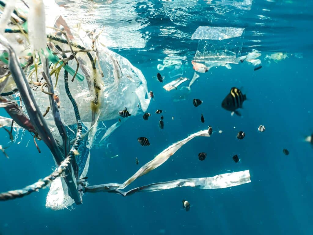 MedReleaf Australia Partners with CleanHub to Tackle Plastic Pollution