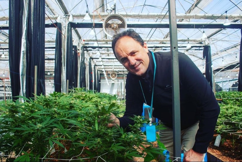 NSW Drug-Driving Laws Put Medicinal Cannabis Patients in an Impossible Position — and the Government Is Running Out of Room to Stall