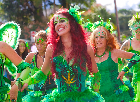 Nimbin's MardiGrass Opens Planning Meetings to All Comers Ahead of May Festival
