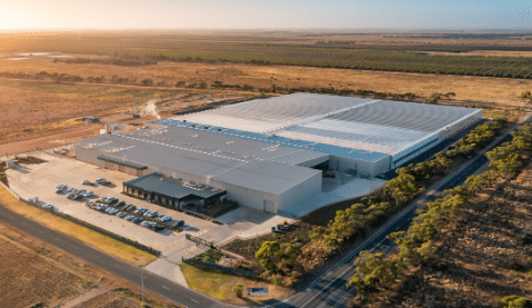 Cann Group Pursues New Capital and M&A Deals as Available Cash Dwindles