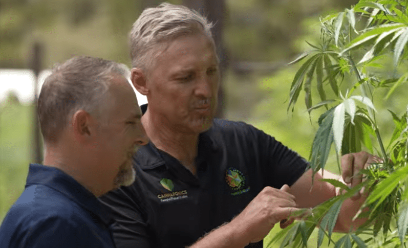 Cannaponics crosses A$1m mark in Birchal crowdfund as it outlines patient-tracking and hemp packaging vision