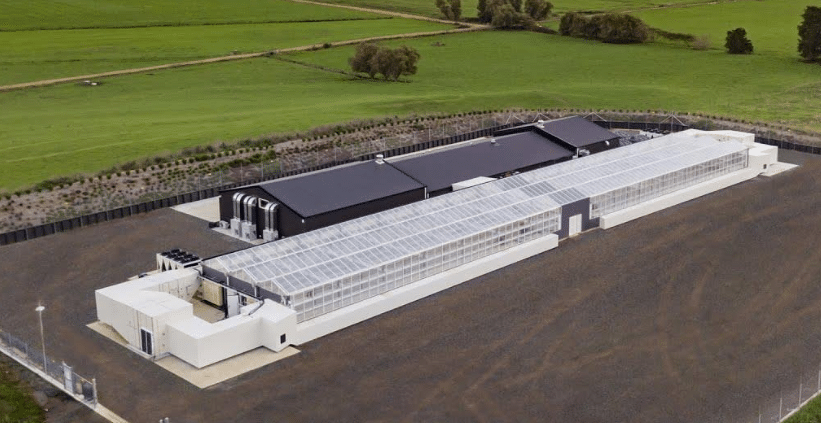 Creditors approve rescue deal to pull Cannasouth back from the brink