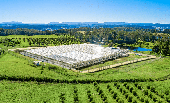 Biortica Clears Key Obstacle in Bod Science Takeover Despite Fresh EGM Delay