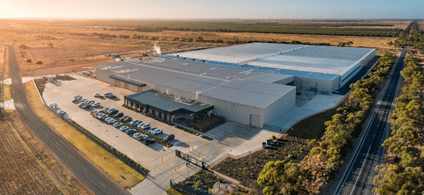 Cann Group cuts losses by a quarter but revenue slides as financial overhaul takes centre stage