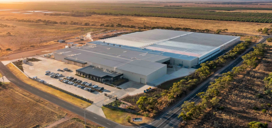 Cann Group Under ASX Scrutiny After Ending Quarter $18,000 Overdrawn