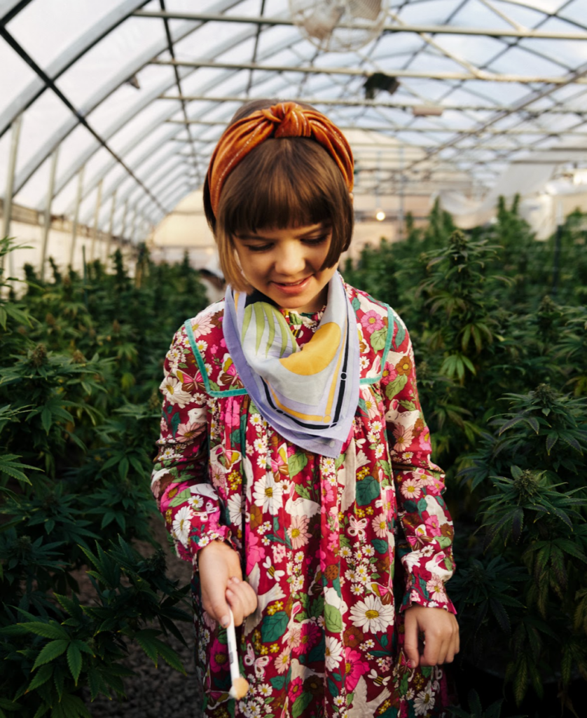 Charlotte's Web CBD Oil Formula Headed to Australian Market via Stanley Brothers and FoliuMed