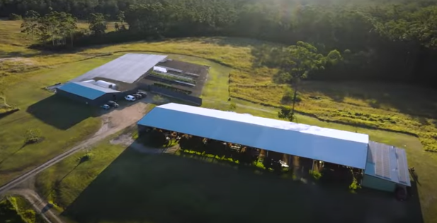 Queensland Cannabis Cultivator The People's Plant Eyes $1.5m as Crowdfunding Round Closes