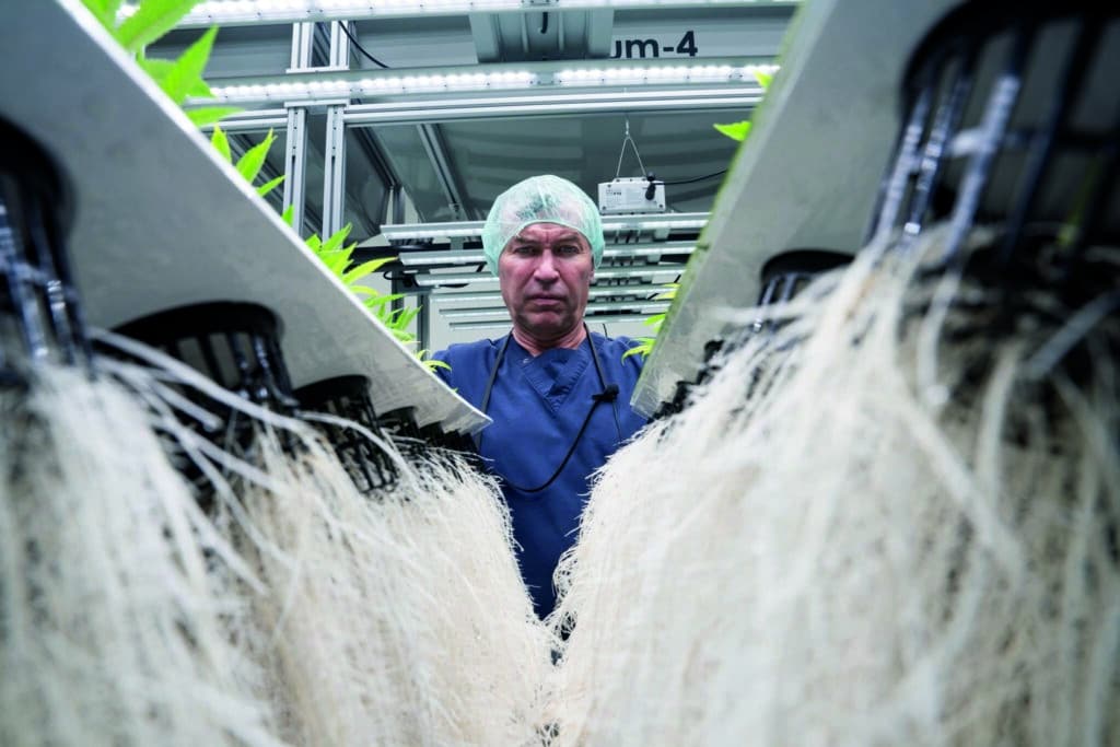 Little Green Pharma teams up with BC grower to launch craft flower brand