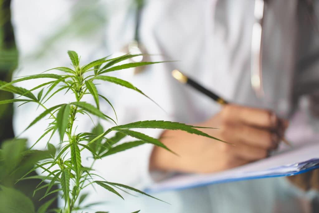 SAS-B approvals climb nearly 40% in 2024 as high-THC medicines dominate prescriptions