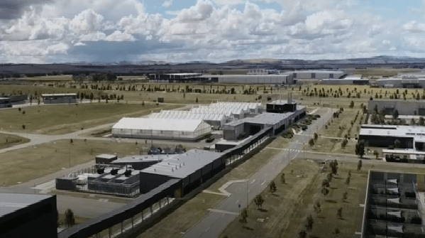 Australia's Cannabis Quarantine Facility Eyes HLVd Testing for Imported Plants