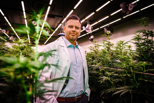 LGP-Cannatrek merger gains Federal Court approval, with implementation scheduled for June 1